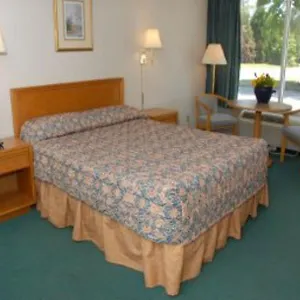 Knights Busch Gardens Area Hotel Williamsburg